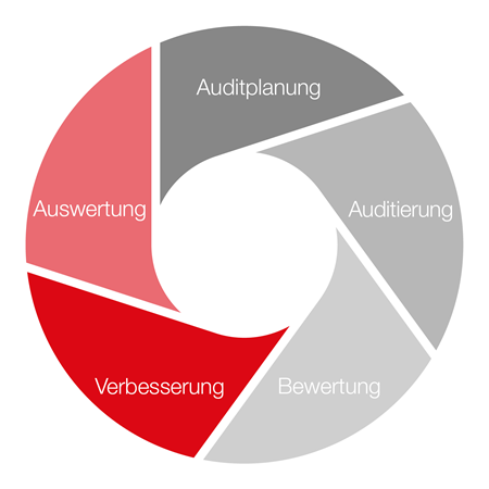 FPM_Auditprozess.png FPM_Auditprozess.png